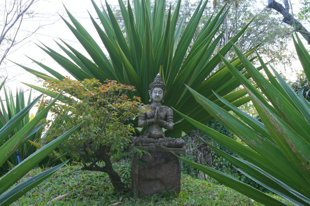 Khao Yai Garden Lodge Pak Chong Exteriör bild